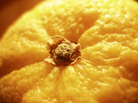 Close up of an orangeの写真素材