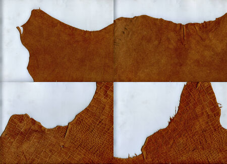 Set of ragged edges brown leather textureの写真素材