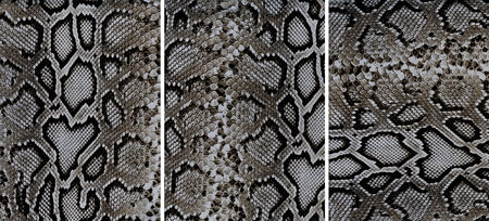 Set of snakeskin leather textures closeup for background