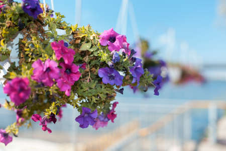Wedding decoration of flowers, wedding ceremony outdoorsの写真素材