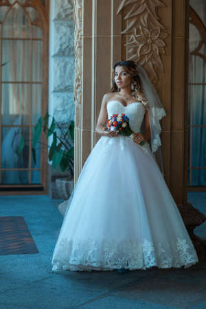 Beautiful young bride in a magnificent dress posingの写真素材