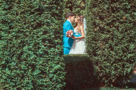 Summer wedding. Portrait of newlyweds in green foliageの写真素材