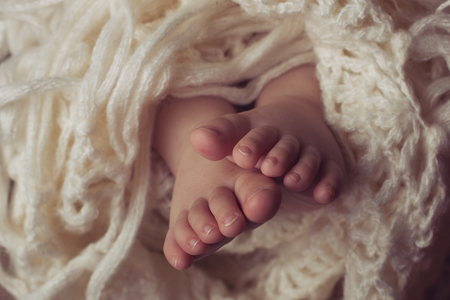 Small legs of newborn wrapped in a blanketの写真素材