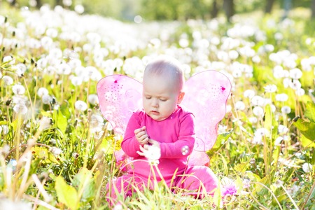 Portrait of a baby girl in a suit with butterfly wings. She sits among dandelions in the grassの写真素材