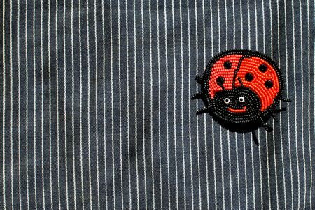 Red ladybug bead brooch on dark striped background
