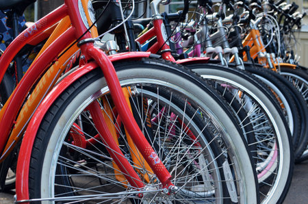 Bicycles in a row for rent, summer activity in a city. bike wheels in a row, bike rental outdoorsの写真素材