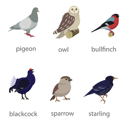 Set of birds.のイラスト素材