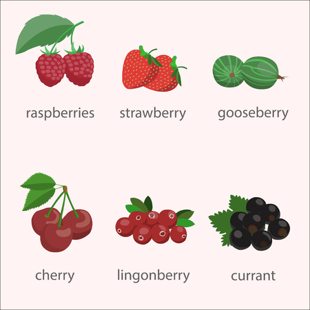 Vector set of berries.のイラスト素材