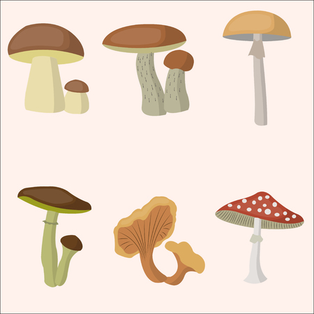 Mushroom forest setのイラスト素材