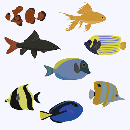 Set of sea fish color design flat. Ocean animal, nature cartoon wildlife aquarium.のイラスト素材
