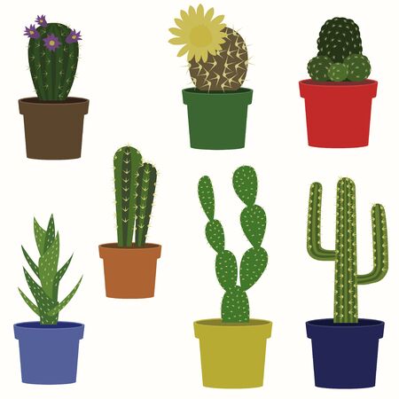 Cacti vector collection. Saguaro, agave, joshua tree, prickly pear and other cactuses.の写真素材