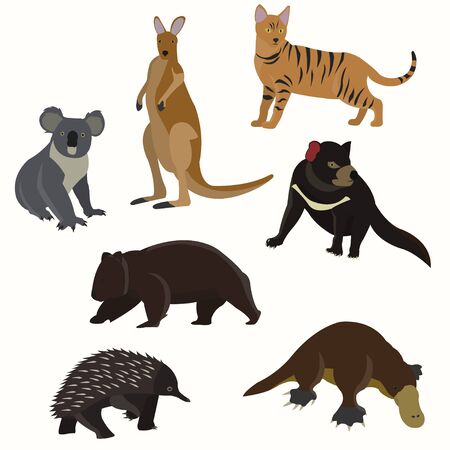 Set of australian animals.の写真素材