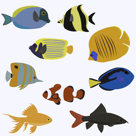 Set of sea fish color design flat. Ocean animal, nature cartoon wildlife aquarium.の写真素材