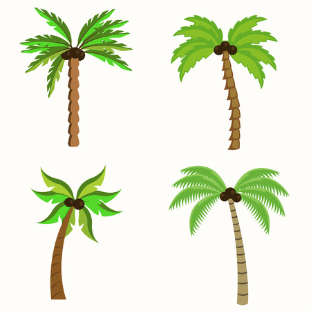 Set of Palm trees illustration isolated on white backgroundのイラスト素材