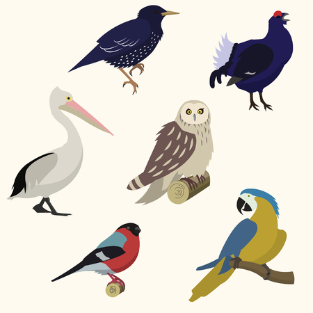 A vector illustration of various Birds set, isolated on whiteのイラスト素材