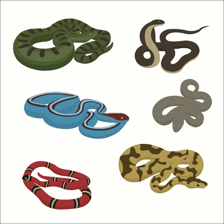 Different types of venomous snake vector cartoon set illustration.のイラスト素材