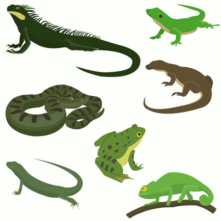 Reptiles and amphibians decorative set icons in cartoon style isolated vector illustrationのイラスト素材