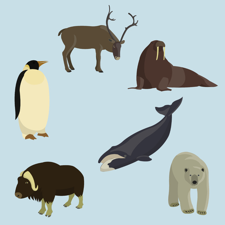 Set of various animals of the north pole, isolated on blue backgroundのイラスト素材
