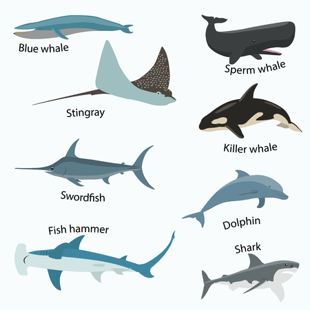 Set of sea creatures vectorのイラスト素材