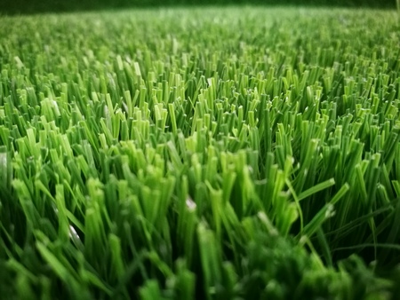 Green grass soccer field background.の写真素材
