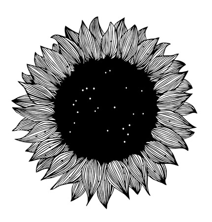 Sunflower black and white Silhouetteのイラスト素材