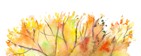 Watercolor autumn yellow orange green tree foliage background.の写真素材