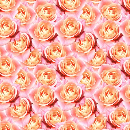 Pink tea rose flower floral seamless pattern texture.の写真素材