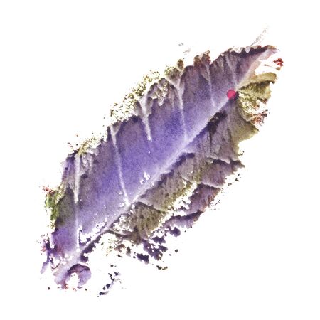 Autumn fall nature dried tree leaf isolated.の写真素材