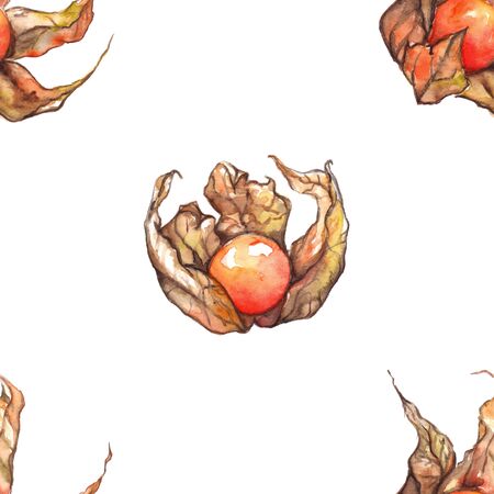 Watercolor hand drawn physalis fruit berry seamless pattern.の写真素材