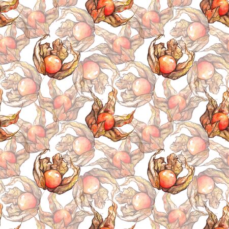 Watercolor hand drawn physalis fruit berry seamless pattern.の写真素材