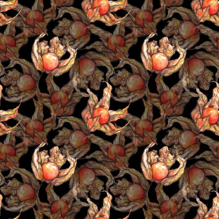 Watercolor hand drawn physalis fruit berry seamless pattern.の写真素材