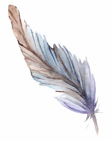 Watercolor gray grey blue violet brown feather set isolated.のイラスト素材