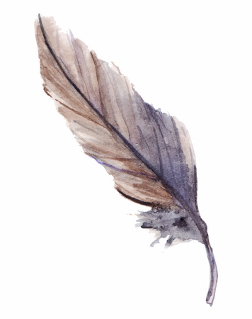 Watercolor gray grey blue violet brown feather set isolated.のイラスト素材