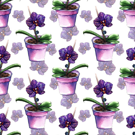 Violet phalaenopsis orchid flower seamless pattern texture.の写真素材
