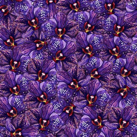 Violet phalaenopsis orchid flower seamless pattern texture.の写真素材