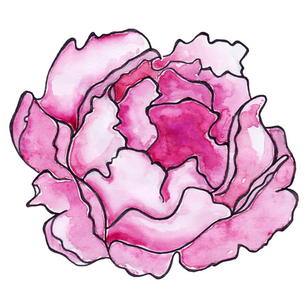 Watercolor crimson peony ink line art sketch isolated vector.のイラスト素材
