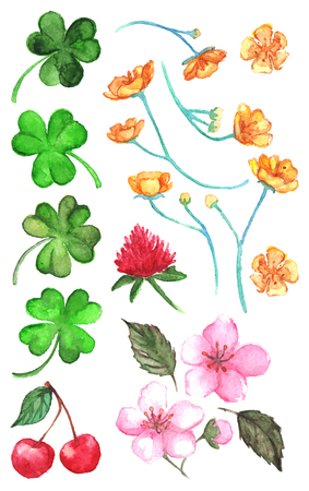 Flower clover cherry berry buttercup set clip art isolated vector.のイラスト素材