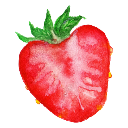 Watercolor half of strawberry berry isolated vector.のイラスト素材