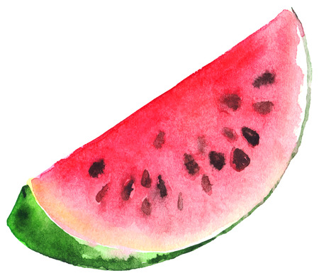 Watercolor green red watermelon juicy slice isolated vector.のイラスト素材