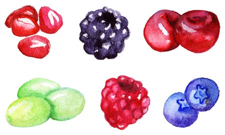 Watercolor pomegranate blackberry cherry grape raspberry blueberry set isolated vector.のイラスト素材