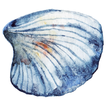 Watercolor sea shell isolated clip art vector.のイラスト素材