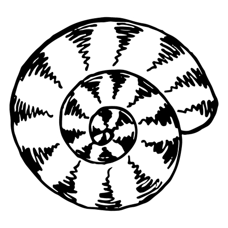 Monochrome sea shell sketched line art vector.のイラスト素材