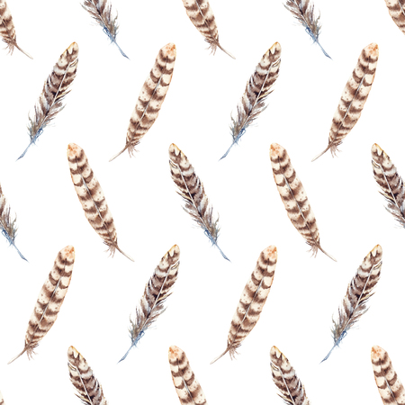 Watercolor brown beige stripe feather seamless pattern.の写真素材