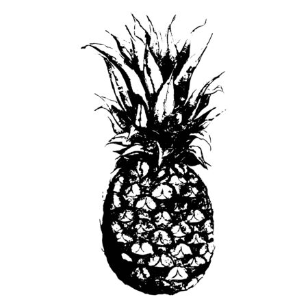 Watercolor monochrome pineapple fruit hand drawn isolated vector.のイラスト素材