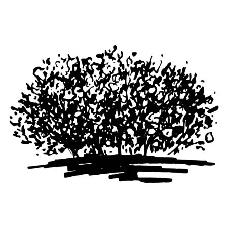 Monochrome flower bush silhouette sketched line art isolated vector.のイラスト素材