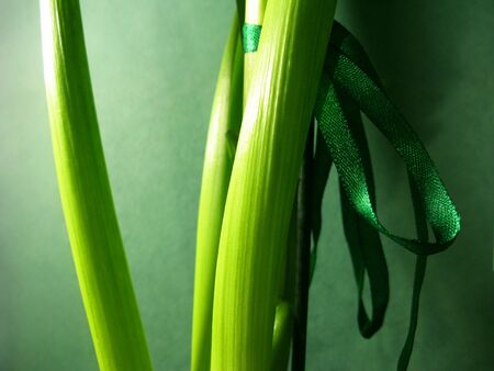 Green hyacinth stem leaf nature macro photo.の写真素材