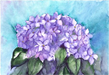 Watercolor flower floral hydrangea lilac nature composition illustration.の写真素材