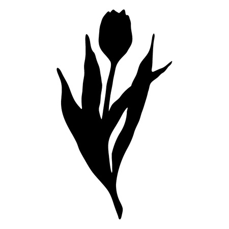 Monochrome black tulip spring flower silhouette isolated vector.のイラスト素材