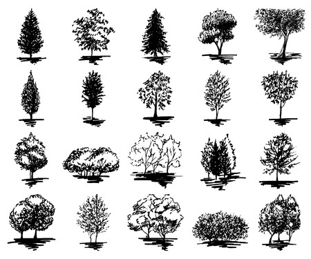 Monochrome tree silhouette sketched line art set isolated vector.のイラスト素材