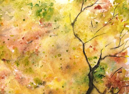 Watercolor autumn yellow orange green tree leaf foliage branch texture background.の写真素材